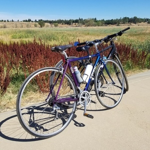 1997 Trek 1220 Purple and Blue