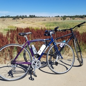1997 Trek 1220 Purple and Blue