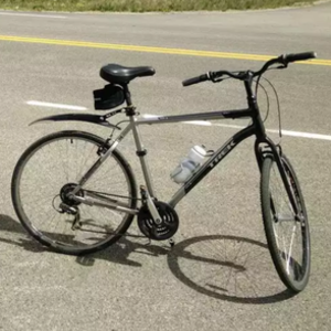 2015 Trek Verve Black and Silver or Gray