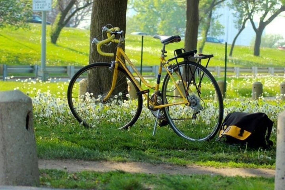 Bike photo