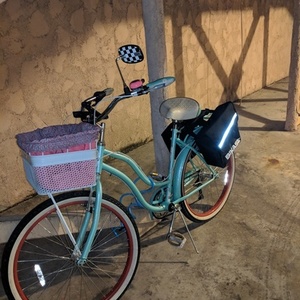 Schwinn Teal