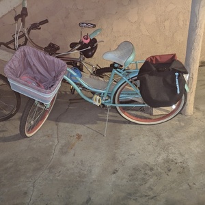 Schwinn Teal