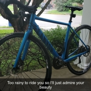 2017 Canyon bicycles Endurace Blue