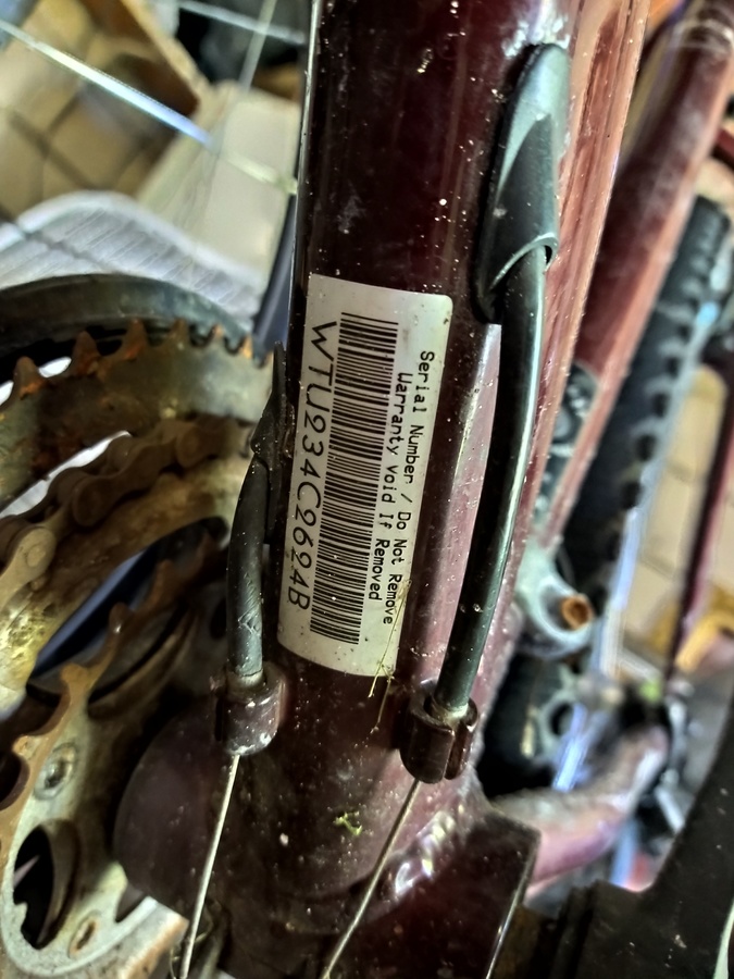 Bike photo