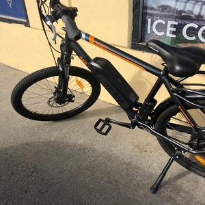 Rad Power Bikes Silver, gray or bare metal