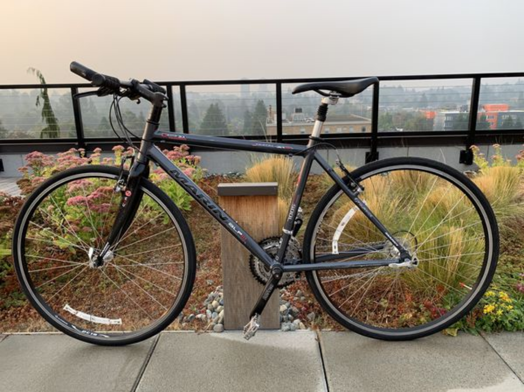 2020 marin fairfax 2