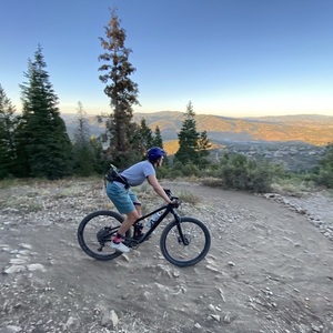 2019 Trek Fuel EX 8 Black