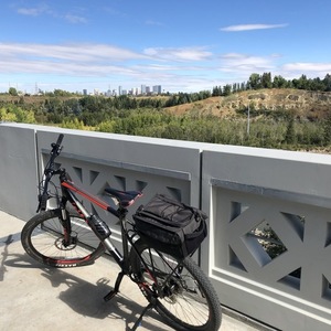 2019 Giant Talon XL Black, Silver, gray or bare metal, and Red