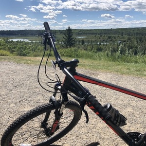 2019 Giant Talon XL Black, Silver, gray or bare metal, and Red