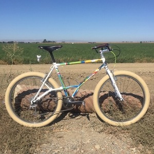 1990 Nishiki Alien White, Stickers tape or other cover-up, and Blue