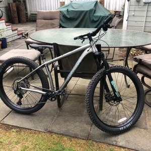 2019 Salsa 2019 Silver, gray or bare metal and Teal