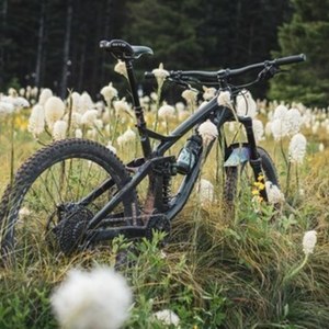 2019 Devinci Spartan Black