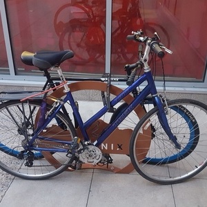 1998 Trek Women's road bike Blue