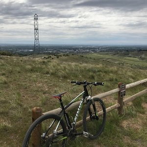 Cannondale Trail Sl 29'er 4 Black and Green