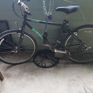 Nishiki Black and Green