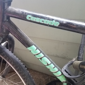 Nishiki Black and Green