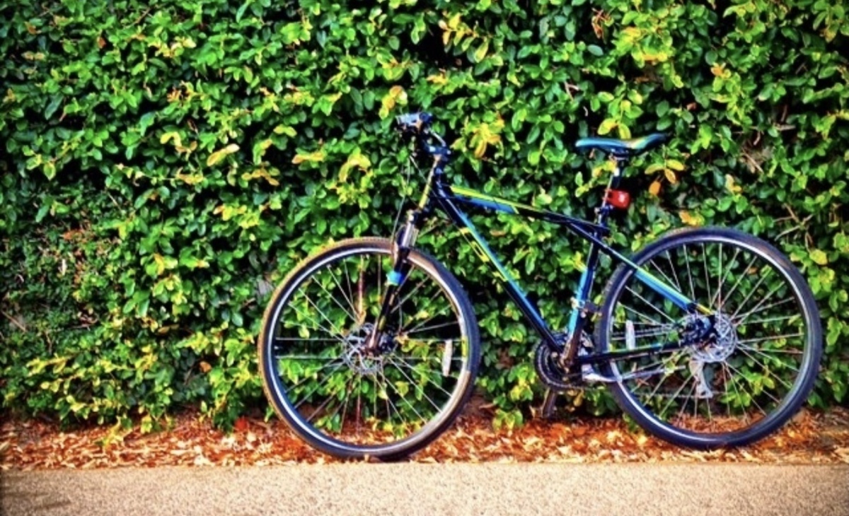 Bike photo