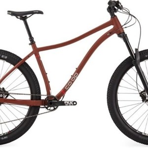 2020 REI DRT 2.2 Brown