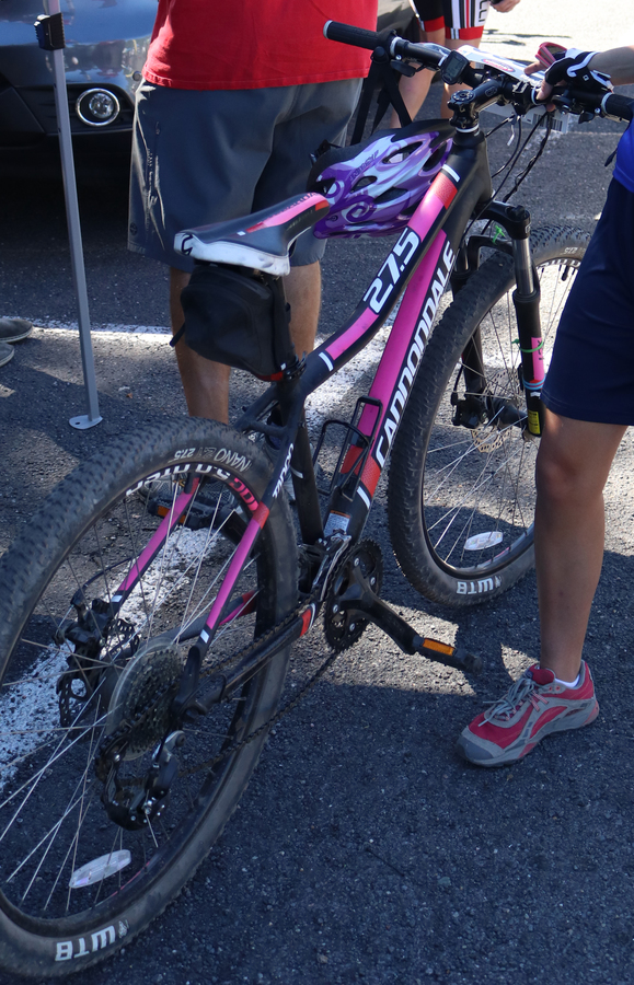 cannondale tango 27.5