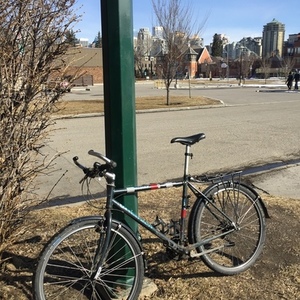 1995 Dynatech Century Green