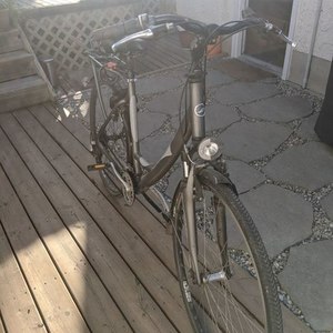 2005 Giant Aluxx - Dutch bicycle Silver, gray or bare metal