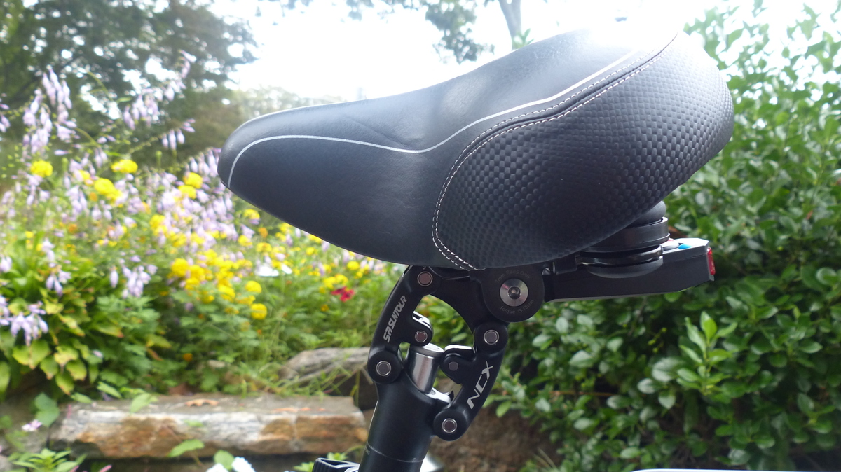 2020 Lectric eBikes XP Step Thru