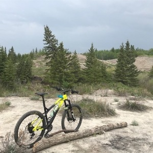 2016 Commencal Bikes Meta AM HT Yellow or Gold and Black