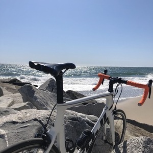 2016 Fuji Transonic White