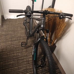 2020 Fuji Nevada Silver, gray or bare metal and Teal