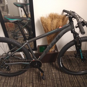 2020 Fuji Nevada Silver, gray or bare metal and Teal