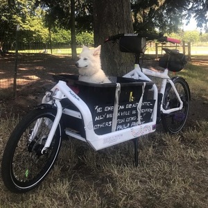 2020 Larry Vs Harry Bullitt "Love Ride" cargo bike (front storage) White and Stickers tape or oth...