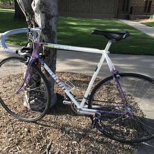 1988 Centurion Ironman Master Purple