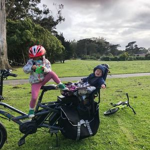 2018 Tern GSD cargo bike (rear storage) Silver, gray or bare metal and Black
