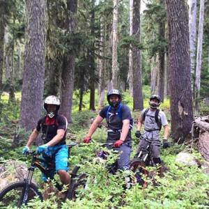 2011 Specialized Enduro Expert EVO Black and Yellow or Gold