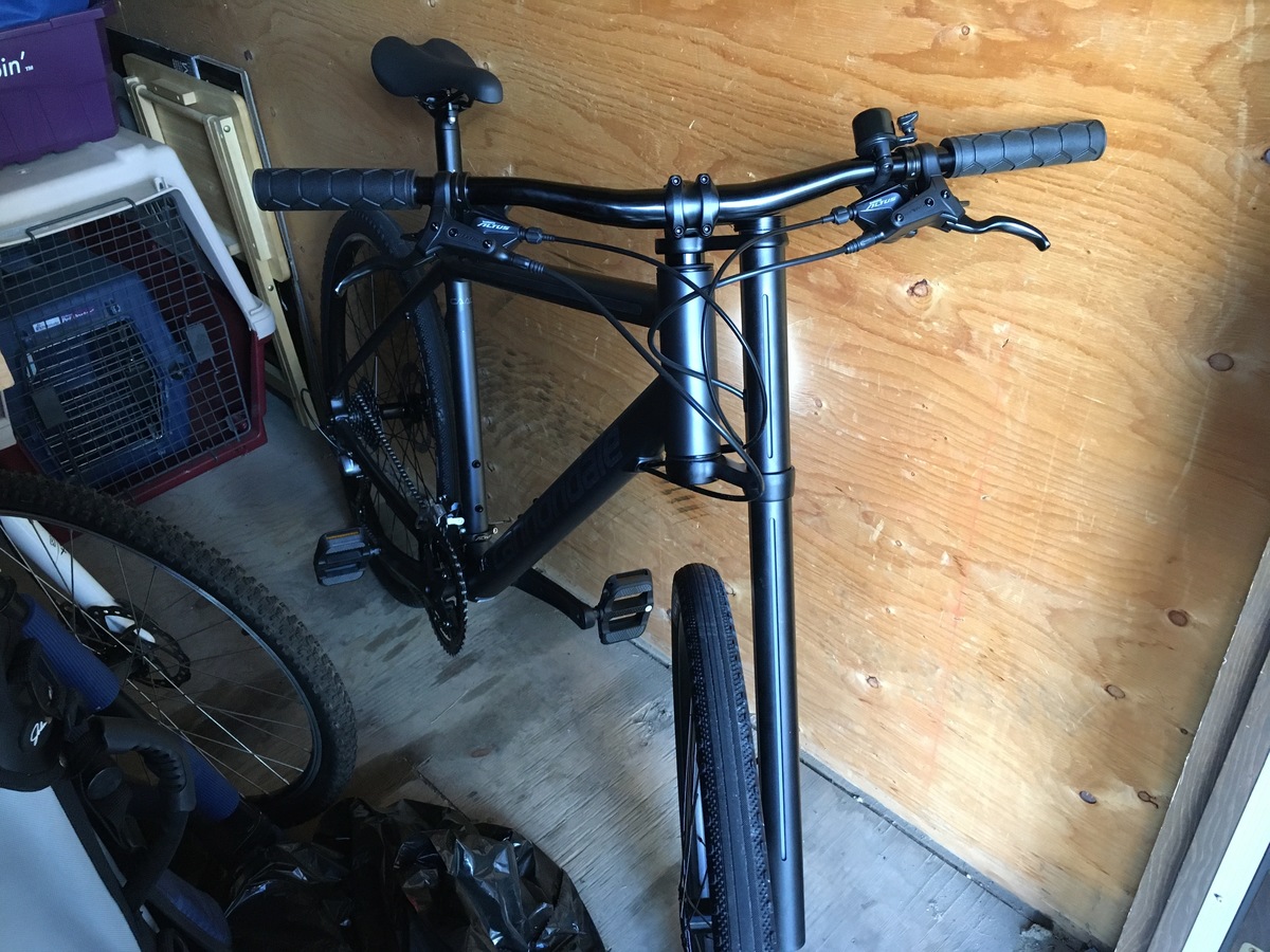 2020 cannondale bad boy