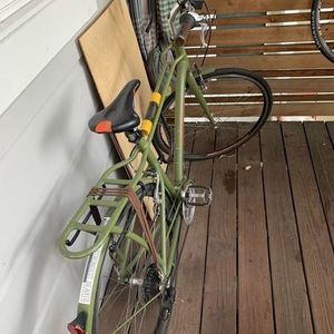 2017 Momentum Green