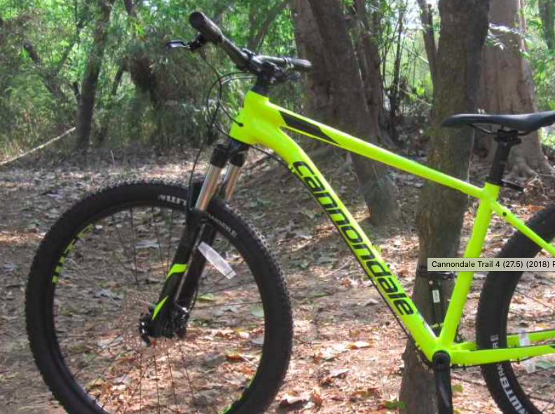 cannondale trail 4 2017