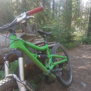 2005 Santa Cruz Medium Green