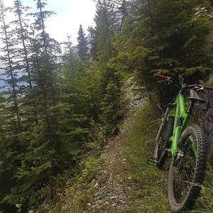 2005 Santa Cruz Medium Green