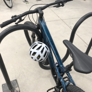 2020 Trek Fuel EX 5 Blue and Black