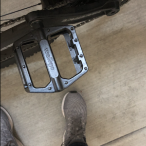 2020 Trek Fuel EX 5 Blue and Black