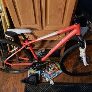 2015 Specialized Orange