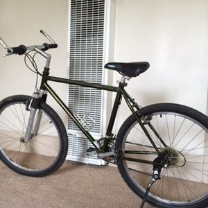 gary fisher aquila green