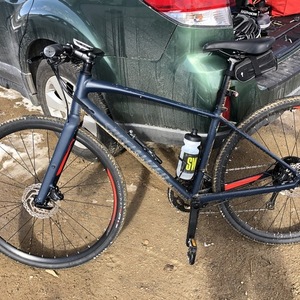 2019 Specialized Sirrus Blue and Red