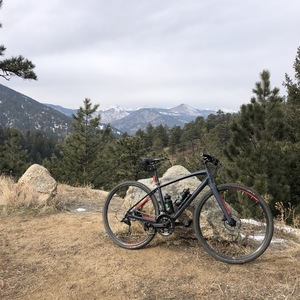 2019 Specialized Sirrus Blue and Red