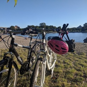 Schwinn Discover White