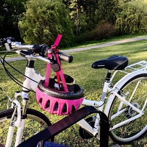 Schwinn Discover White