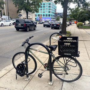 Schwinn Transit Green