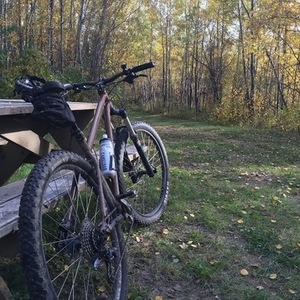 2014 Kona EXPLOSIF Yellow or Gold