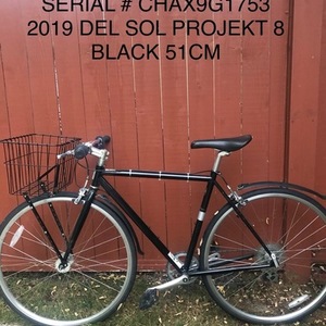 2019 Del Sol Black and Silver, gray or bare metal